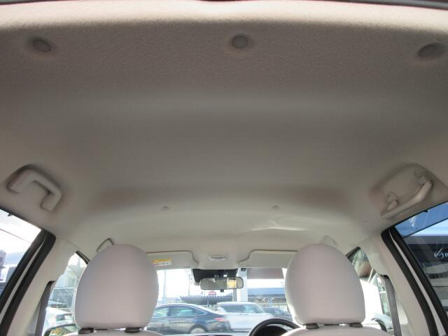 �V��̏�Ԃ��ǍD�ł��B�^�o�R���z���Ă����Ԃ́A�V��̐F���ϐF���Ă��܂��Ă�����̂�����܂��B���ÎԒT���̍ۂ́A�V��̏�Ԃ��d�v�ȃ|�C���g�ł���!