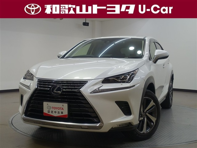 NX300h バージョンL