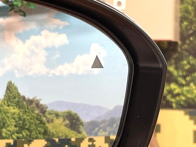 �y�u���C���h�X�|�b�g���[�j���O�z���s���A�h�A�~���[�̎��p�ɂȂ�₷���ӏ��Ɍ㑱�Ԃ��ڋ߂���ƃT�C�h�~���[�t�߂Ɍx����\���A�h���C�o�[�ɒ��ӊ��N�����Ă���܂��B