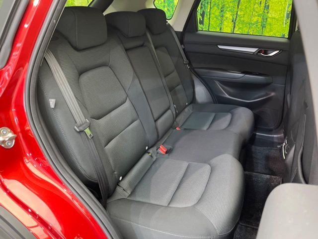 �㕔���Ȃ��C�ɂȂ�悤�ȃL�Y�E�����ւ��蓙�A�傫�ȃ_���[�W�͂Ȃ��A�ǍD�ȏ�Ԃł��B