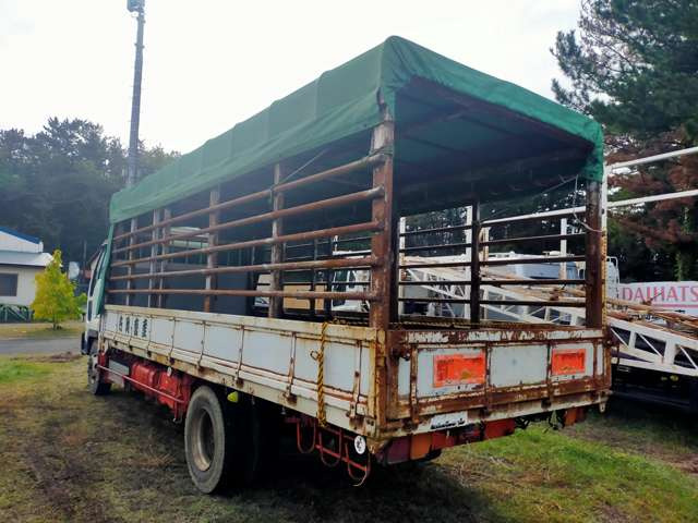 フォワードジャストン