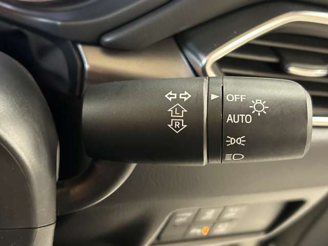 �^�]�Ȏ���ɑ傫�ȏ��A����A�ւ���ȂǂȂ��ǎ��ȏ�Ԃł�!