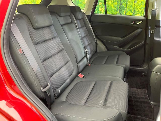 �㕔���Ȃ��C�ɂȂ�悤�ȃL�Y�E�����ւ��蓙�A�傫�ȃ_���[�W�͂Ȃ��A�ǍD�ȏ�Ԃł��B