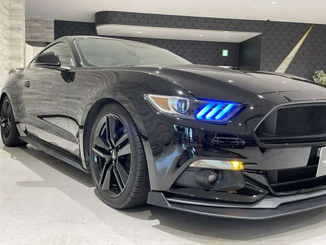 �y�S���[�ԉz�ꕔ�����������A�S�����[�ԑΉ����Ă���܂��B�k�C�����牫��܂ŁA��g������ЂɂĂ��͂��������܂��B