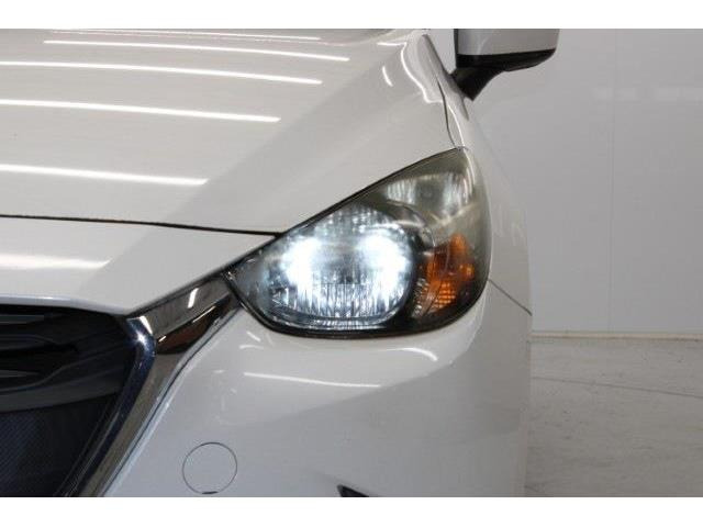 ���Ǝҗl�ւ̔̔��͂��f�肳���Ă��������܂��B�Ԍ������ԗ��̏ꍇ�́A�Ԍ����擾�������x�������z�ŕ\�����Ă���܂��B