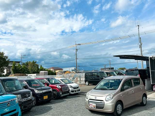 �y39.8���X�J�[�Y�̎��q���������������A���ɂ��肪�Ƃ��������܂��B���������S�s���c1186-7TEL:0942-73-6060�܂ł��⍇����������