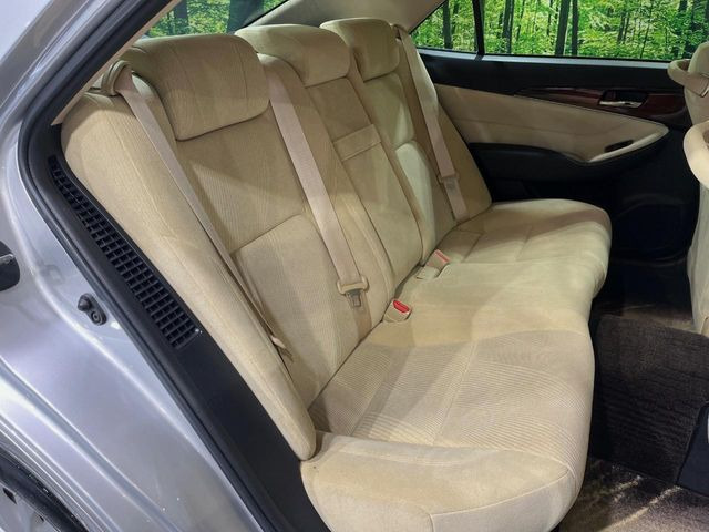 �㕔���Ȃ��C�ɂȂ�悤�ȃL�Y�E�����ւ��蓙�A�傫�ȃ_���[�W�͂Ȃ��A�ǍD�ȏ�Ԃł��B