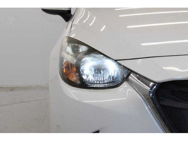 ���Ǝҗl�ւ̔̔��͂��f�肳���Ă��������܂��B�Ԍ������ԗ��̏ꍇ�́A�Ԍ����擾�������x�������z�ŕ\�����Ă���܂��B