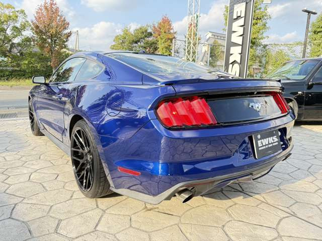 マスタング50イヤーズ エディション