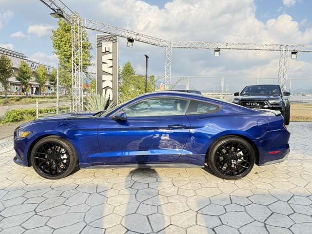 マスタング50イヤーズ エディション