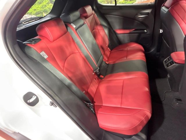 �㕔���Ȃ��C�ɂȂ�悤�ȃL�Y�E�����ւ��蓙�A�傫�ȃ_���[�W�͂Ȃ��A�ǍD�ȏ�Ԃł��B