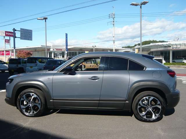 �����Ђł͑��Зl�ł悭����w�����ɓƎ��̗L�����Îԃp�b�N�ɓ����Ă��������悤�Ȏ����������܂���̂ł����S����������