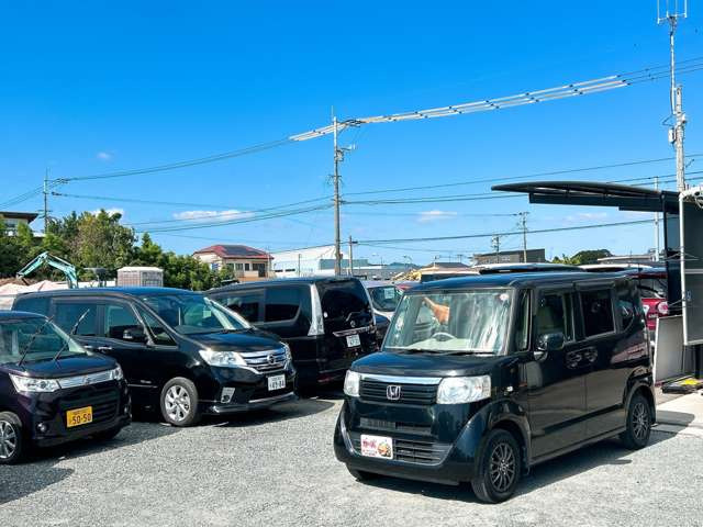 �y39.8���X�J�[�Y�̎��q���������������A���ɂ��肪�Ƃ��������܂��B���������S�s���c1186-7TEL:0942-73-6060�܂ł��⍇����������