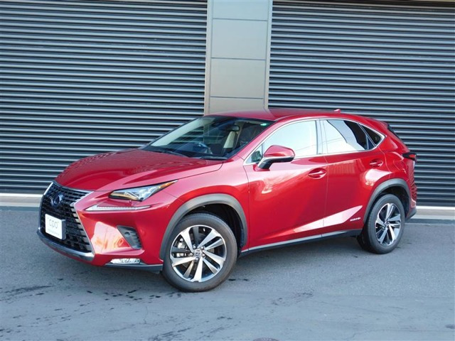 NX300h Iパッケージ