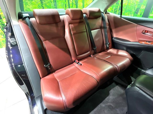 �㕔���Ȃ��C�ɂȂ�悤�ȃL�Y�E�����ւ��蓙�A�傫�ȃ_���[�W�͂Ȃ��A�ǍD�ȏ�Ԃł��B