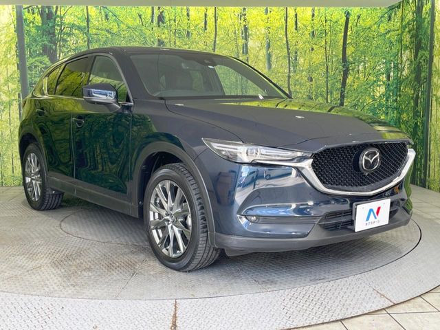 高透明度のガラス皮膜で撥水はもちろん、上質なツヤ・光沢を実現。紫外線や酸性雨から大切な愛車を保護し、色あせ・劣化を防止。「弾スプラッシュコート」、「弾プリミッサコート」からお選びいただけます。