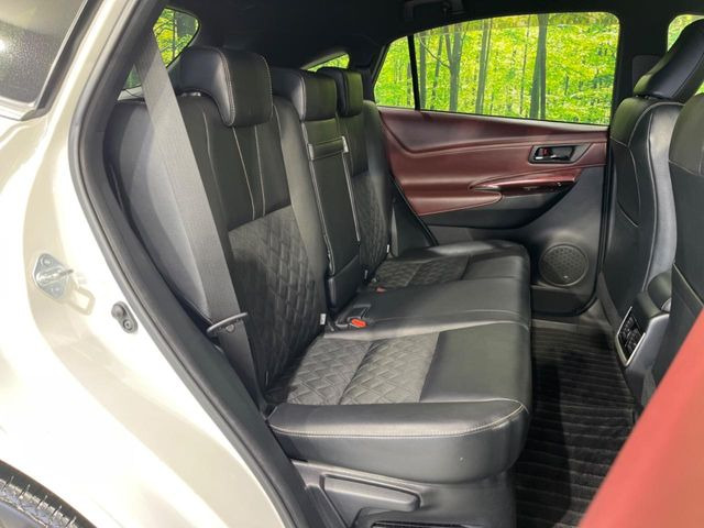 �㕔���Ȃ��C�ɂȂ�悤�ȃL�Y�E�����ւ��蓙�A�傫�ȃ_���[�W�͂Ȃ��A�ǍD�ȏ�Ԃł��B