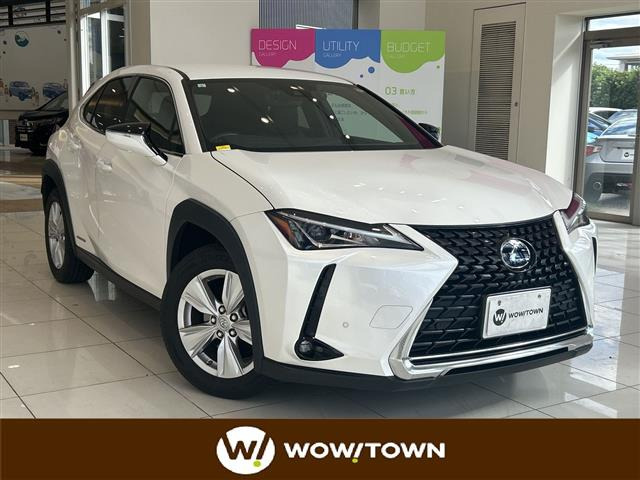 UX250h バージョンC