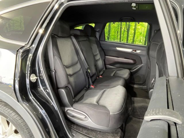 �㕔���Ȃ��C�ɂȂ�悤�ȃL�Y�E�����ւ��蓙�A�傫�ȃ_���[�W�͂Ȃ��A�ǍD�ȏ�Ԃł��B