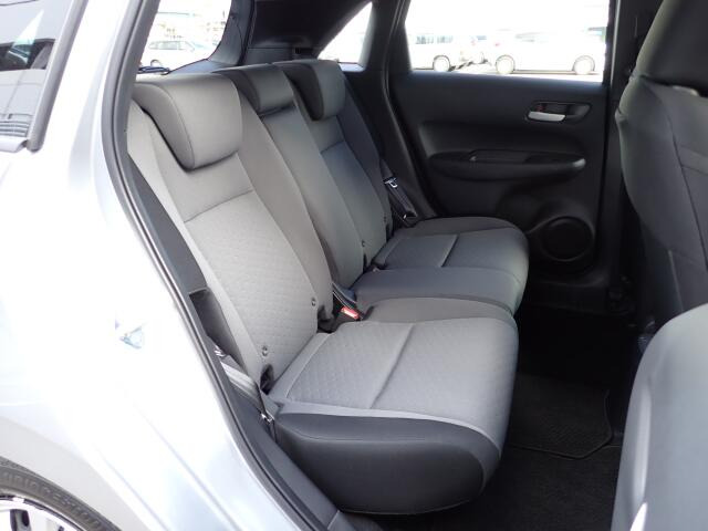 �㕔���Ȃ��傫�ȎC����Ȃ���ԗǍD�ł��B