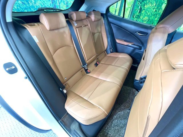 �㕔���Ȃ��C�ɂȂ�悤�ȃL�Y�E�����ւ��蓙�A�傫�ȃ_���[�W�͂Ȃ��A�ǍD�ȏ�Ԃł��B