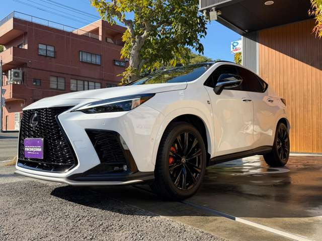 NX�̌�����ەt����t�����g�t�F�C�X��