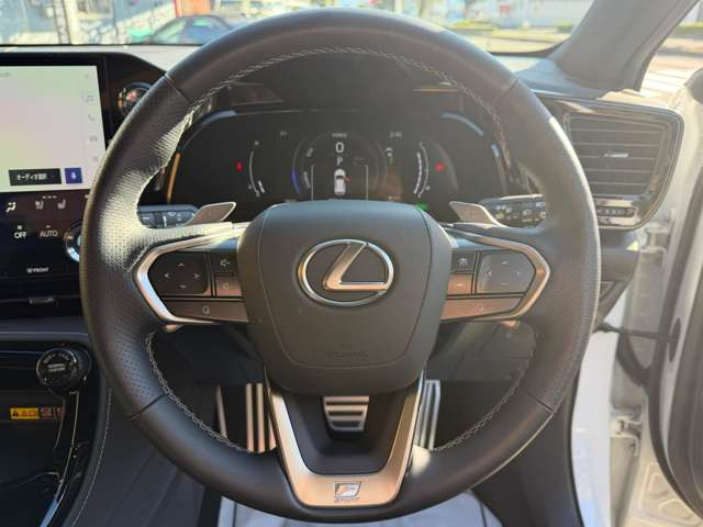 FSPORT�f�B���v���{�v�X�e�A�����O(�p�h���V�t�g�t) ������