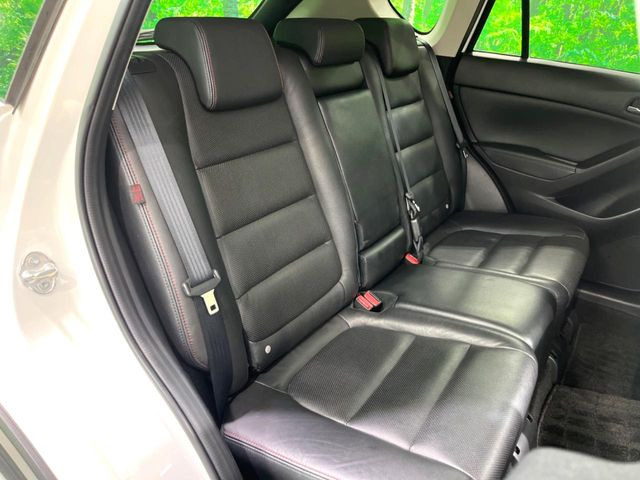 �㕔���Ȃ��C�ɂȂ�悤�ȃL�Y�E�����ւ��蓙�A�傫�ȃ_���[�W�͂Ȃ��A�ǍD�ȏ�Ԃł��B