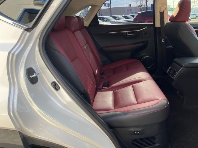 �㕔���Ȃ��C�ɂȂ�悤�ȃL�Y�E�����ւ��蓙�A�傫�ȃ_���[�W�͂Ȃ��A�ǍD�ȏ�Ԃł��B