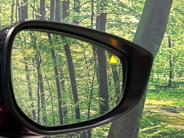 �y�u���C���h�X�|�b�g���j�^�����O�z���s���A�h�A�~���[�̎��p�ɂȂ�₷���ӏ��Ɍ㑱�Ԃ��ڋ߂���ƃT�C�h�~���[�t�߂Ɍx����\���A�h���C�o�[�ɒ��ӊ��N�����Ă���܂��B