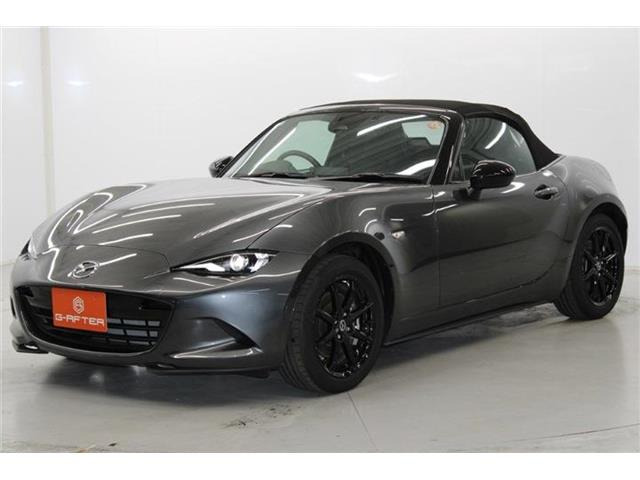 ���Ǝҗl�ւ̔̔��͂��f�肳���Ă��������܂��B �Ԍ������ԗ��̏ꍇ�́A�Ԍ����擾�������x�������z�ŕ\�����Ă���܂��B