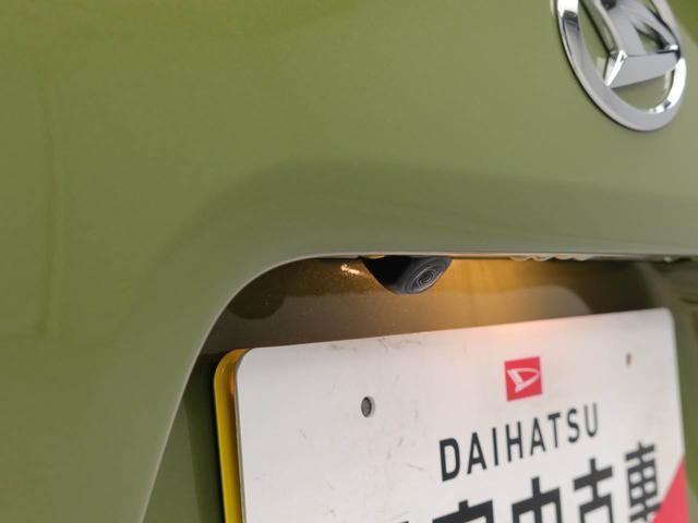 タントファンクロス