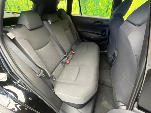 �㕔���Ȃ��C�ɂȂ�悤�ȃL�Y�E�����ւ��蓙�A�傫�ȃ_���[�W�͂Ȃ��A�ǍD�ȏ�Ԃł��B