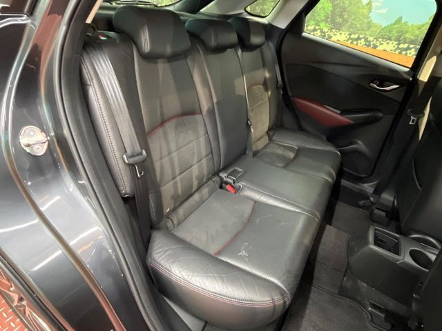 �㕔���Ȃ��C�ɂȂ�悤�ȃL�Y�E�����ւ��蓙�A�傫�ȃ_���[�W�͂Ȃ��A�ǍD�ȏ�Ԃł��B