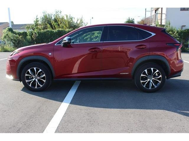 �̔��͂����X���������邨�q�l����ł��B���Ǝҗl�ւ̔̔��͂��f�肳���Ă��������܂��B�Ԍ������ԗ��̏ꍇ�́A�Ԍ����擾�������x�������z�ŕ\�����Ă���܂��B