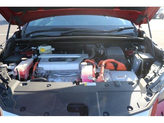 �̔��͂����X���������邨�q�l����ł��B���Ǝҗl�ւ̔̔��͂��f�肳���Ă��������܂��B�Ԍ������ԗ��̏ꍇ�́A�Ԍ����擾�������x�������z�ŕ\�����Ă���܂��B