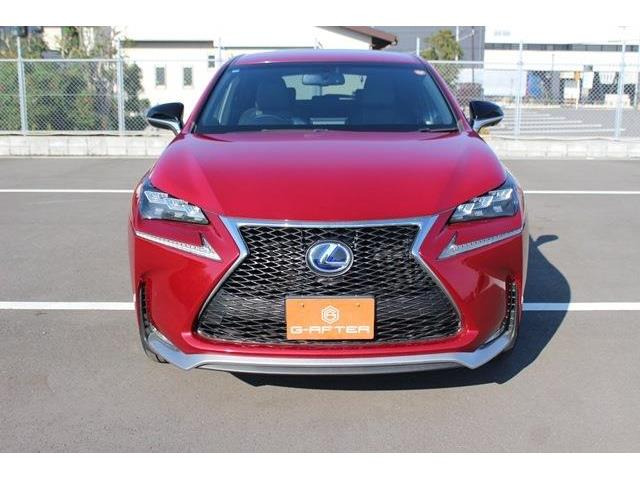 �̔��͂����X���������邨�q�l����ł��B���Ǝҗl�ւ̔̔��͂��f�肳���Ă��������܂��B�Ԍ������ԗ��̏ꍇ�́A�Ԍ����擾�������x�������z�ŕ\�����Ă���܂��B