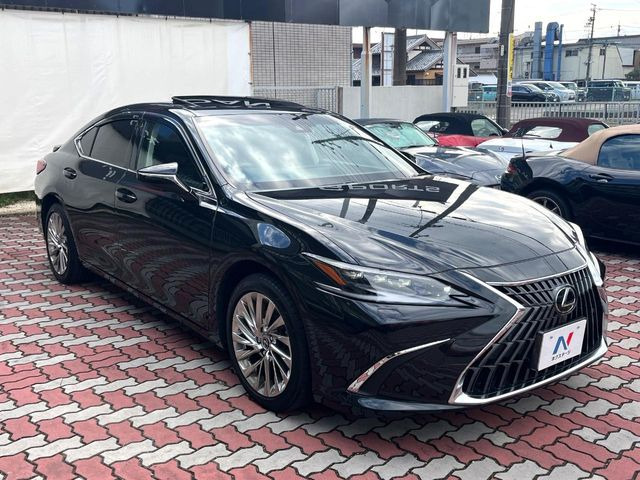 高透明度のガラス皮膜で撥水はもちろん、上質なツヤ・光沢を実現。紫外線や酸性雨から大切な愛車を保護し、色あせ・劣化を防止。「弾スプラッシュコート」、「弾プリミッサコート」からお選びいただけます。