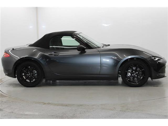 ���Ǝҗl�ւ̔̔��͂��f�肳���Ă��������܂��B �Ԍ������ԗ��̏ꍇ�́A�Ԍ����擾�������x�������z�ŕ\�����Ă���܂��B