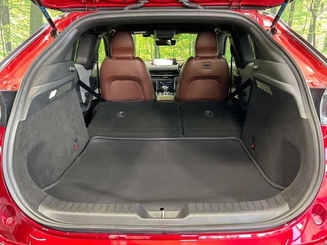 ���N���[���ȏ�Ԃ��L�[�v���������q�l�ɂ́w�i�m�]�[���R�[�g�x����������!�R���i�E�C���X�΍��A���ہE���L�Ɍ��ʂ𔭊��������̕��ɂ��D�]���������Ă���܂��B