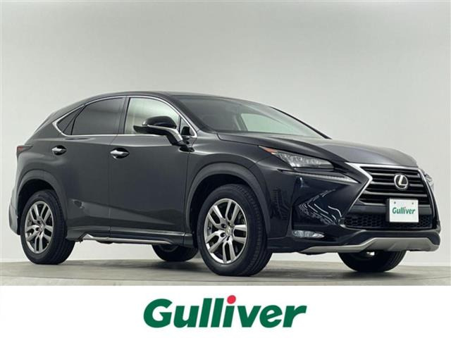 NX200t Iパッケージ