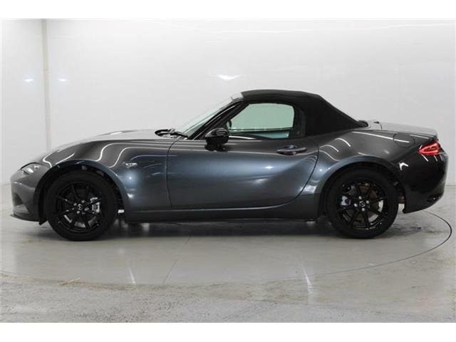 ���Ǝҗl�ւ̔̔��͂��f�肳���Ă��������܂��B �Ԍ������ԗ��̏ꍇ�́A�Ԍ����擾�������x�������z�ŕ\�����Ă���܂��B