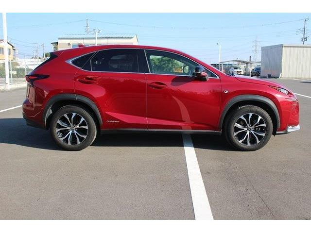 �̔��͂����X���������邨�q�l����ł��B���Ǝҗl�ւ̔̔��͂��f�肳���Ă��������܂��B�Ԍ������ԗ��̏ꍇ�́A�Ԍ����擾�������x�������z�ŕ\�����Ă���܂��B