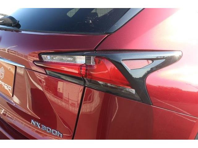 �̔��͂����X���������邨�q�l����ł��B���Ǝҗl�ւ̔̔��͂��f�肳���Ă��������܂��B�Ԍ������ԗ��̏ꍇ�́A�Ԍ����擾�������x�������z�ŕ\�����Ă���܂��B