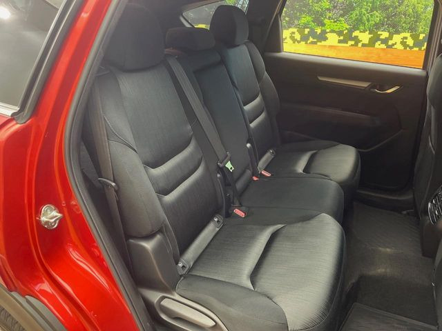 �㕔���Ȃ��C�ɂȂ�悤�ȃL�Y�E�����ւ��蓙�A�傫�ȃ_���[�W�͂Ȃ��A�ǍD�ȏ�Ԃł��B