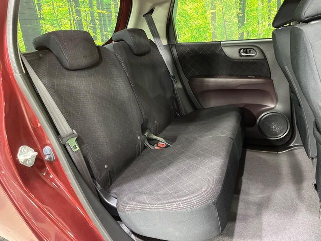 �㕔���Ȃ��C�ɂȂ�悤�ȃL�Y�E�����ւ��蓙�A�傫�ȃ_���[�W�͂Ȃ��A�ǍD�ȏ�Ԃł��B