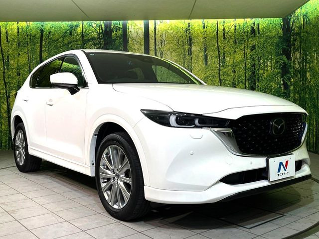 高透明度のガラス皮膜で撥水はもちろん、上質なツヤ・光沢を実現。紫外線や酸性雨から大切な愛車を保護し、色あせ・劣化を防止。「弾スプラッシュコート」、「弾プリミッサコート」からお選びいただけます。