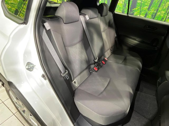 �㕔���Ȃ��C�ɂȂ�悤�ȃL�Y�E�����ւ��蓙�A�傫�ȃ_���[�W�͂Ȃ��A�ǍD�ȏ�Ԃł��B