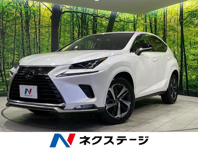 NX(レクサス) 300 スパイス&amp;シック 中古車画像