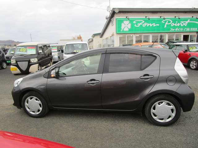 �R��̃n�C�u���b�g�Ԃ��T���̕�����ǂ���!